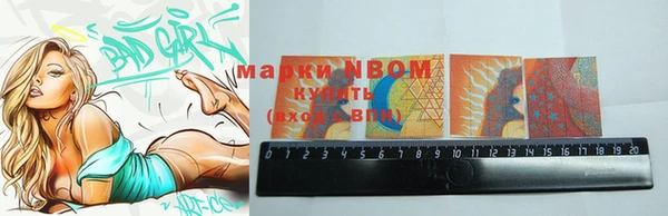 амф Верея