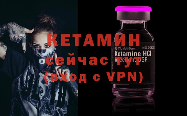 амф Верея