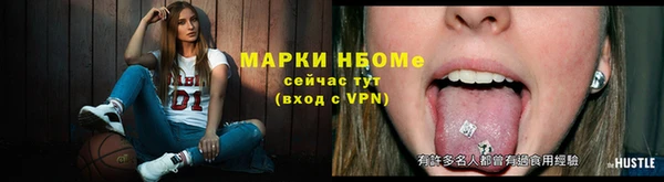 амф Верея