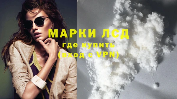 амф Верея