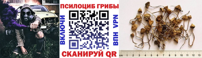 Псилоцибиновые грибы прущие грибы  Купить где  Комсомольск 