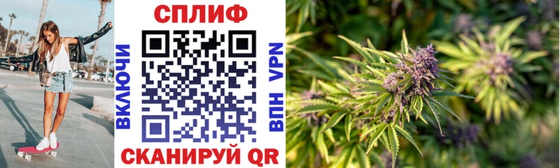 Купить где  Комсомольск  МАРИХУАНА сатива 